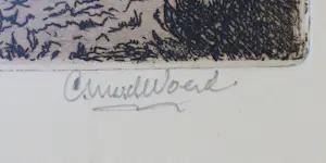 Cor van der Woerd - Op 't land kopen? Bied vanaf 100!