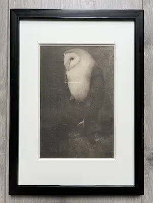 Jan Mankes - Originele Heliogravure Uil op Boomtak 1927 kopen? Bied vanaf 165!