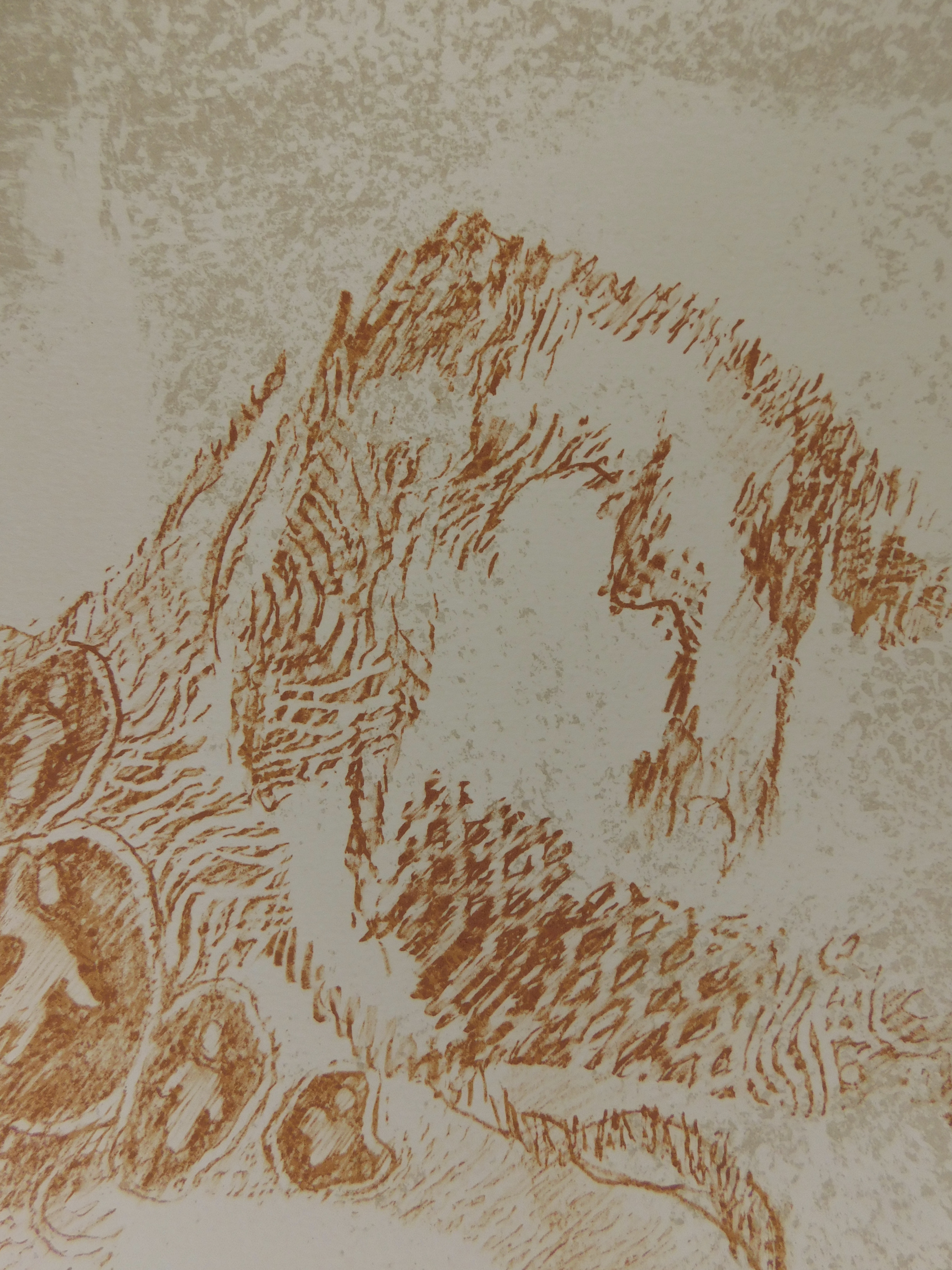 Dang Lebadang - Les Zèbres kopen? Bied vanaf 35!