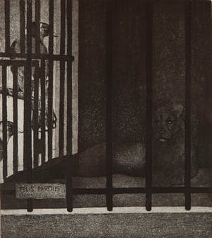 Jan A.M.J. Hurx - Panter in kooi - 1/8 - 1977 - ets en aquatint op papier kopen? Bied vanaf 20!