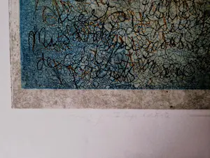 Marion Bloem - Grote Ets & Aquatint - le livre de Jade V - zeer kleine oplage (24) gesigneerd kopen? Bied vanaf 42!