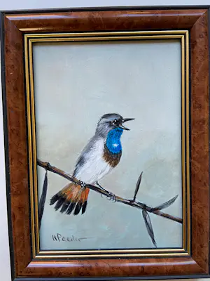 Henk Poeder - Blauwborstje kopen? Bied vanaf 89!