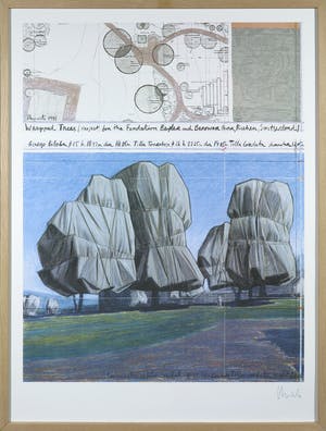 Christo - Gesigneerd exemplaar Wrapped Trees - Ingelijst kopen? Bied vanaf 1!