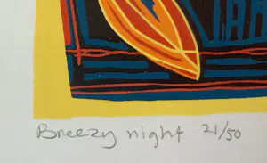 Diana van Hal - Breezy Night kopen? Bied vanaf 45!