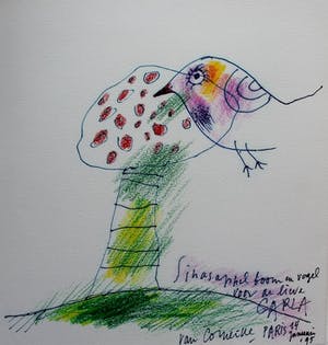 Corneille - Gemengde techniek (tekening), zeefdruk en boek - 1994/1995 kopen? Bied vanaf 800!