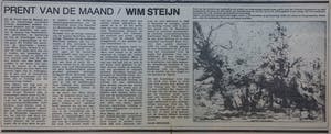 Wim Steijn - Groot Bentveld - Bosrand 112/150 - ets / droge naald kopen? Bied vanaf 25!