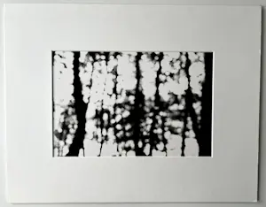 Mies de Roos - 'Zonder titel' kopen? Bied vanaf 1!