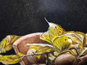 Jan Teunissen - Stilleven met Mispels in een bloempot kopen? Bied vanaf 150!