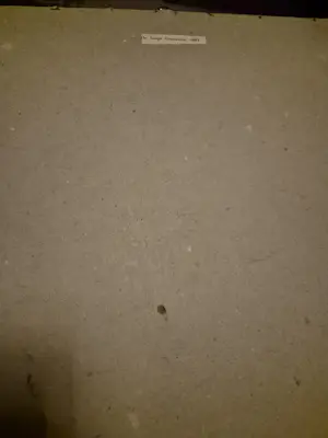 Jan Toorop - TOOROP ZELF en de JONGE GENERATIE kopen? Bied vanaf 45!