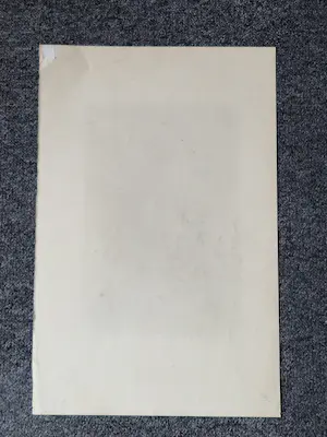 Charles thomas Nix - Grote jaren 50 pastelkrijt tekening "vrouwelijk naakt" gesigneerd kopen? Bied vanaf 31!