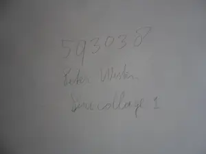 Peter Westen - 2 kleuren ets. Titel, "Beden ". kopen? Bied vanaf 20!