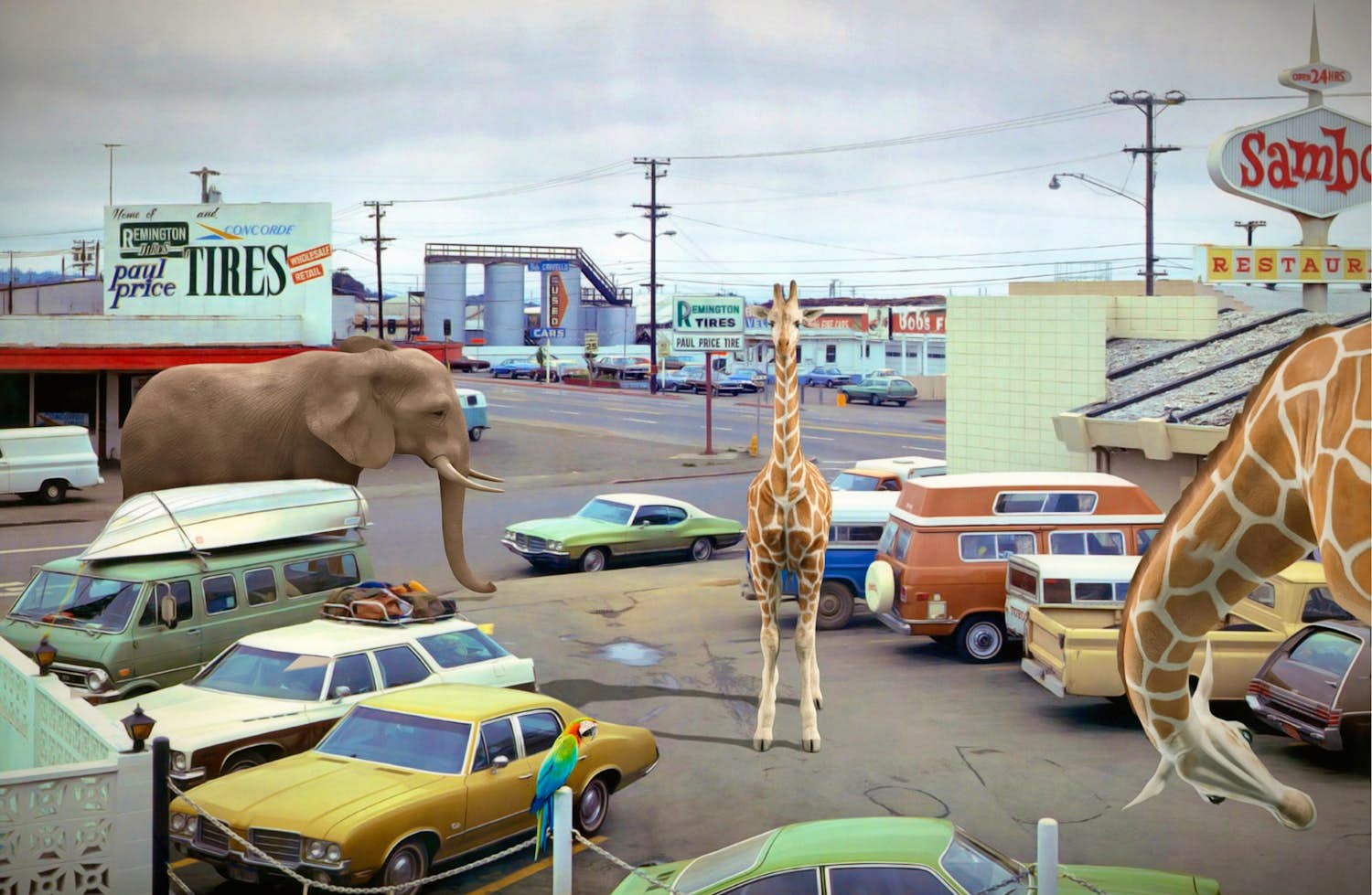 Mr. Strange - Jungle in de stad kopen? Bied vanaf 80! | Kunstveiling.nl