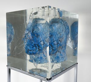 Toon Tullemans - Keramieken hoofd in hars, Der blaue Kopf (Groot en zwaar) kopen? Bied vanaf 350!