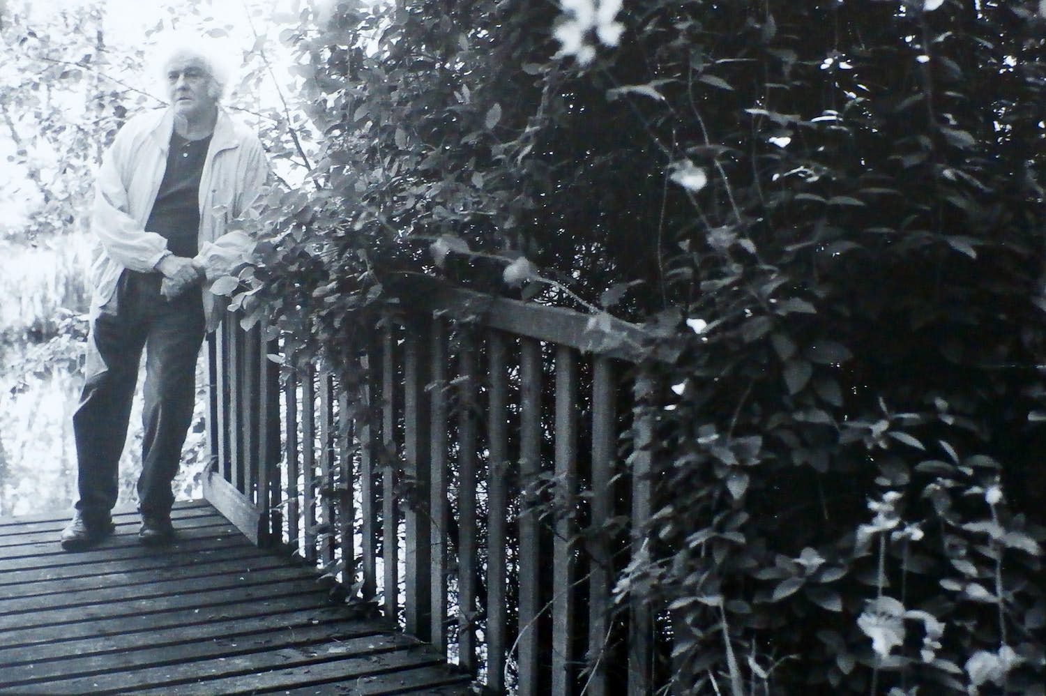 Jan Wolkers - Winterbeelden - foto afgedrukt op papier - 1995 kopen? Bied vanaf 10!