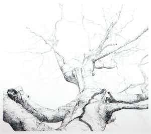 Reinder Homan - Ets, Beuk I - Ingelijst verkocht voor € 60!