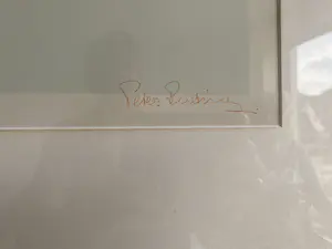 Peter Ruting - 2 Luik:Hierarchie kopen? Bied vanaf 1!