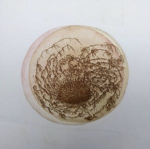 Hans Kuyt - ets periode 1965-1970 - gesproten aardappel - SEPIA kopen? Bied vanaf 25!