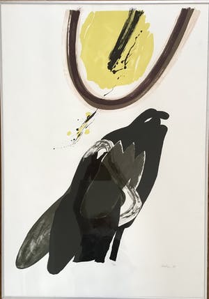 Lei Molin - Gesigneerde litho, vogel, ingelijst ( groot) kopen? Bied vanaf 145!