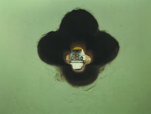 Mark Verdoes - Foto, Buddha love schuttersbloem - Ingelijst kopen? Bied vanaf 1!