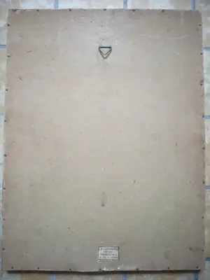 Arie Zwart - Stadsgracht kopen? Bied vanaf 30!