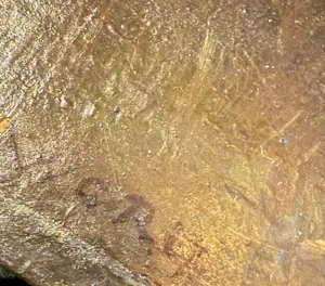 Willem Rip - Rivierlandschap bij avondlicht - gesigneerd kopen? Bied vanaf 400!