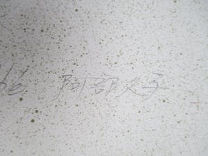 Hisako Viruly Abe - litho kleine oplage kopen? Bied vanaf 35!