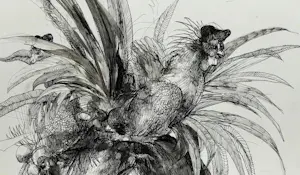 Joost Roelofsz - 4 originele ontwerpschetsen voor (boek)illustratie + uitnodiging opening kopen? Bied vanaf 125!