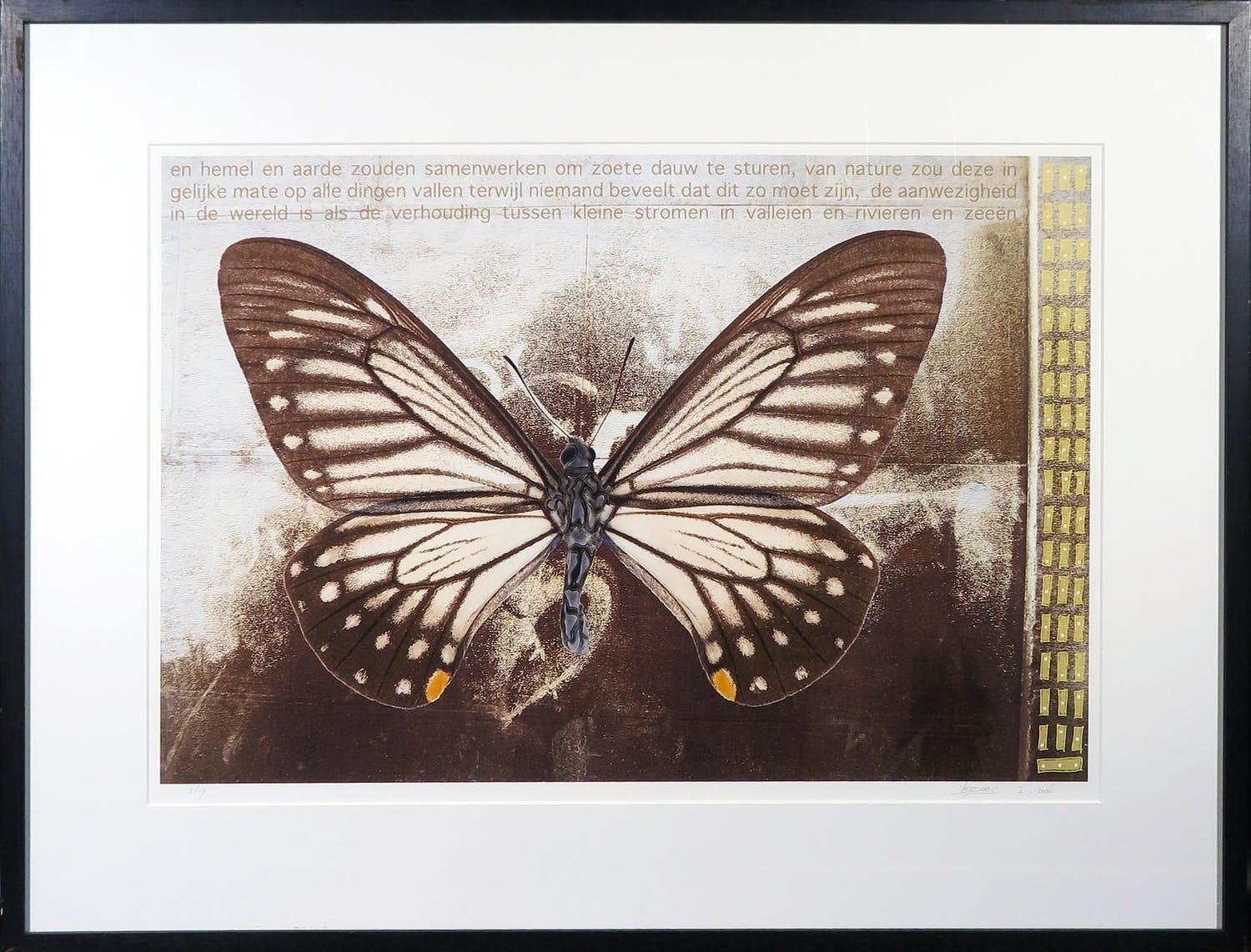 Mark Verdoes - Giclée, Vlinder - Ingelijst verkocht voor € 35!