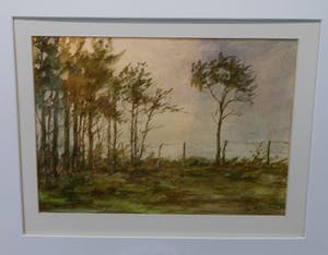 Ton Pape - 4 x landschap kopen? Bied vanaf 75!