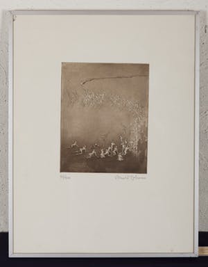 Ronald Tolman - Vlucht II - 76/100 - aquatint op papier kopen? Bied vanaf 20!