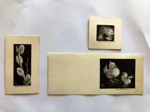 Ina Rahusen - Drie gesigneerde litho’s verkauft für € 39!