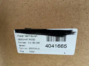 Pieter Vermeulen - Kleur rijk werk van Pieter Vermeulen kopen? Bied vanaf 50!