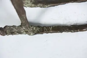 Kiny Copinga - Brons, Hobbelpaard kopen? Bied vanaf 375!