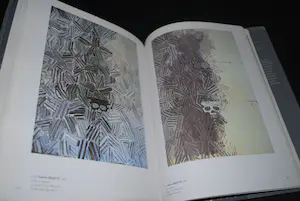 Jasper Johns - a Retrospective 1996 - uitgave MoMa - monumentaal - 408 pag. kopen? Bied vanaf 50!