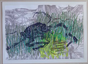 Lex van Lith - FIGURATIE / KLEURZEEFDRUK / 83x113cm / KADER / SIG kopen? Bied vanaf 30!