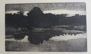 Ton Meyer - Waterplas bij Warmond kopen? Bied vanaf 15!