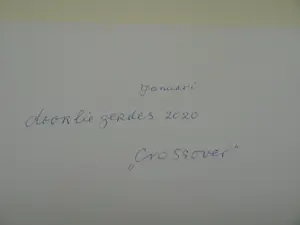 Doorlie Gerdes - Ingelijste potloodtekening , Crossover – 2020 - Lijst, 53 x 43 cm. kopen? Bied vanaf 100!