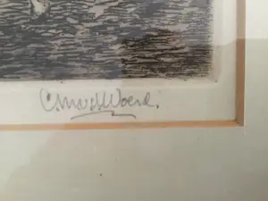 Cor van der Woerd - Oud Twentse boerderij kopen? Bied vanaf 50!
