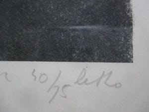 Dirkje Kuik - Ingelijste litho kopen? Bied vanaf 70!