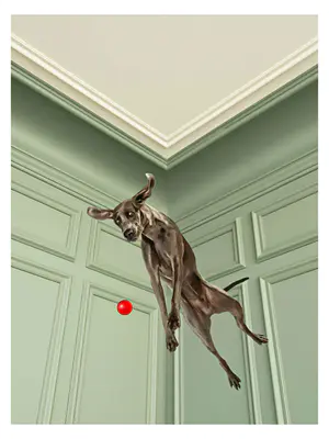 Mr. Strange - Charly Jump! kopen? Bied vanaf 85!