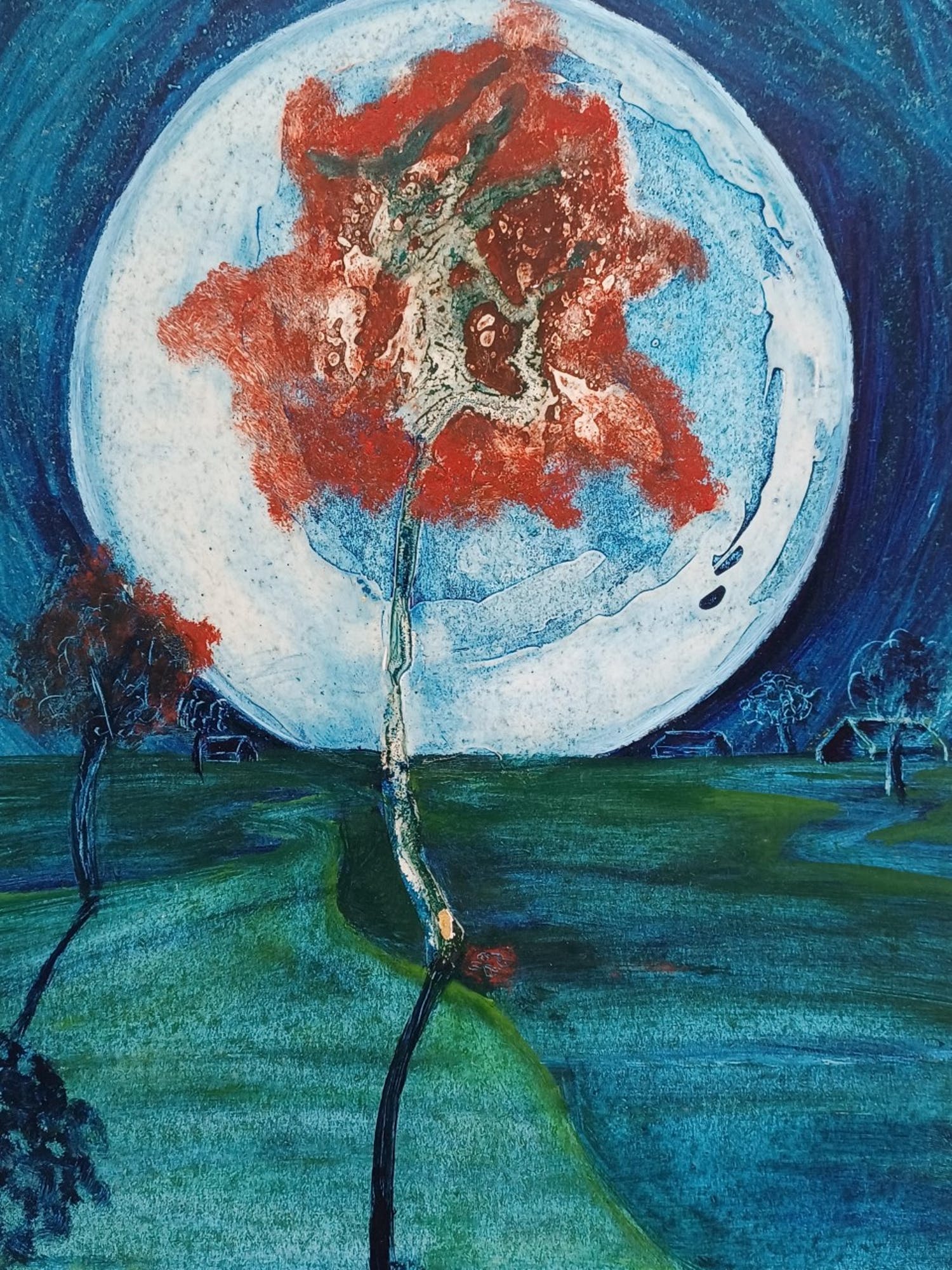 Johan Haantjes (1943)