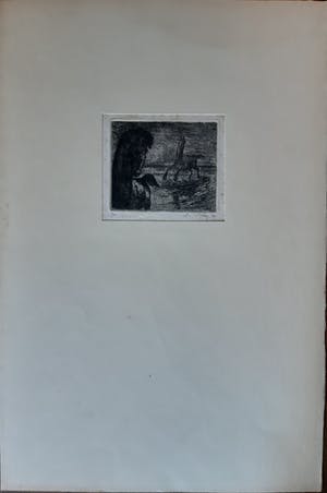 Enno Brokke - Twee paarden kopen? Bied vanaf 35!