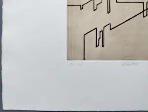 Buy Dick Cassee - Venascle - gesigneerde droge naald ets? Bid from 179!