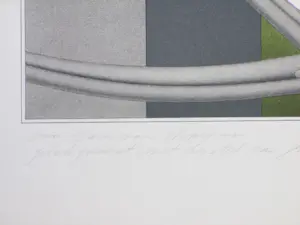 Marinus Fuit - Slangen in Landschap - Kleurenlitho kaufen? Bieten Sie von 38!