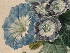 Onbekend - Twee stillevens kopen? Bied vanaf 40!