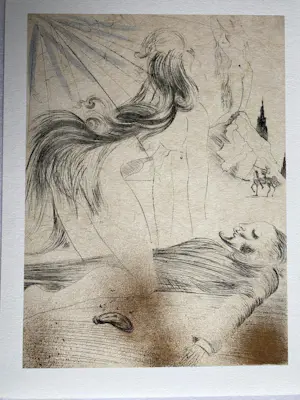 Salvador Dali - 12 stuks litho Venus aux Fourrures kopen? Bied vanaf 185!