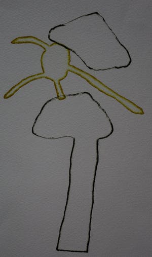 Ruud Matthes - Ets: boom(4) - 1988 kopen? Bied vanaf 45!