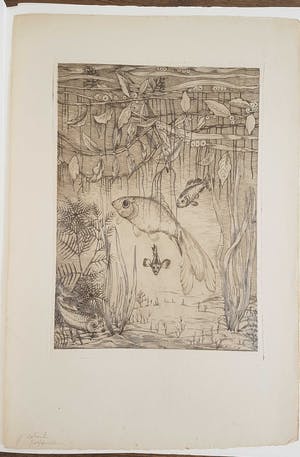 Jan Schonk - Lot van 7 prenten, 5x handgesigneerd kopen? Bied vanaf 150!