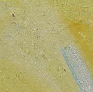 Dirkjan Ribbeling - Olieverf op doek, Zonder titel - Ingelijst (Zeer groot) kopen? Bied vanaf 1!