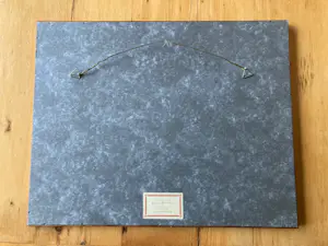 Dianne Bakker - Klaprozen kopen? Bied vanaf 30!